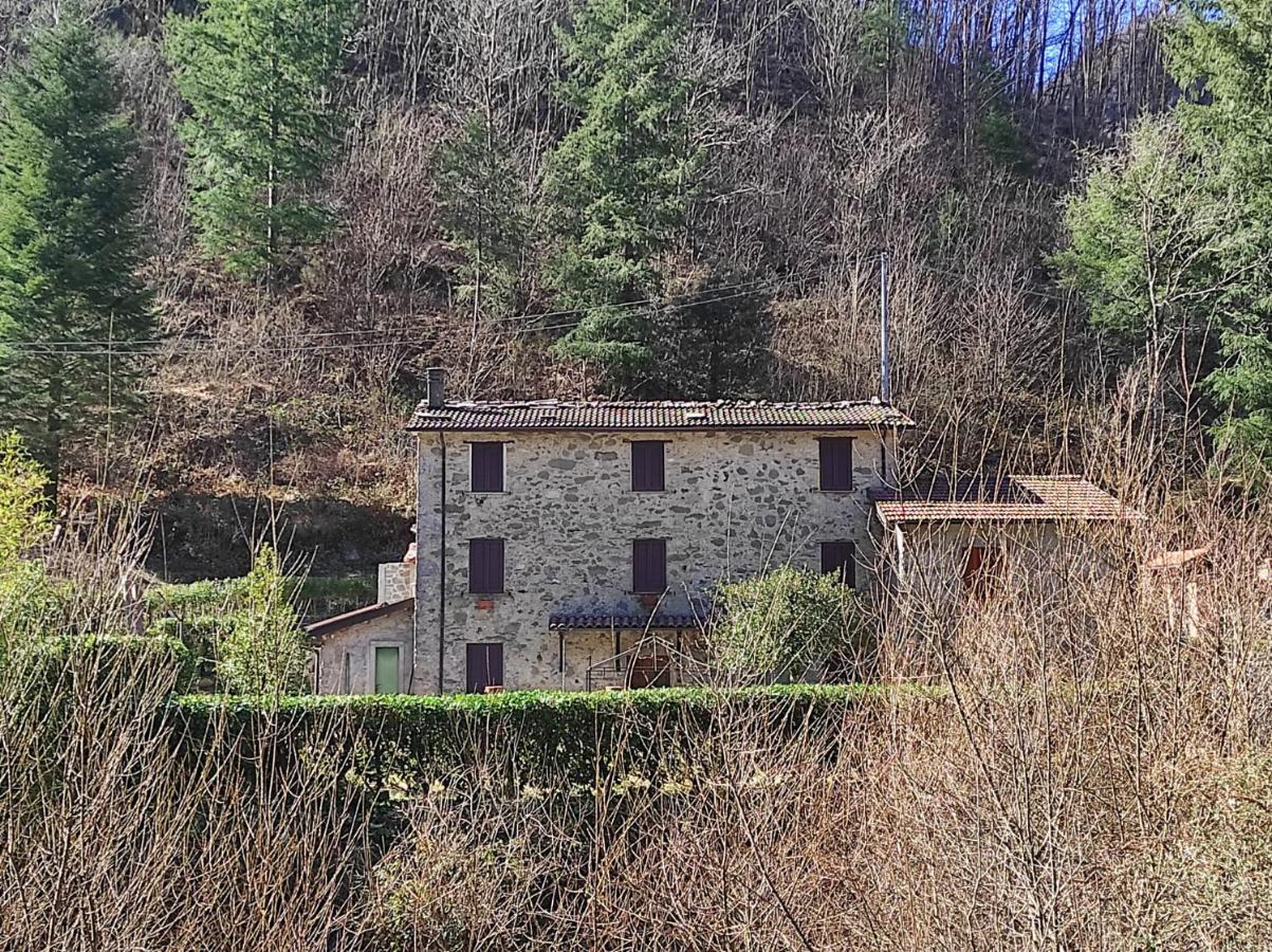 Casa Vacanze Il Boscaccio "Casa Massimo" Fornovolasco 외부 사진