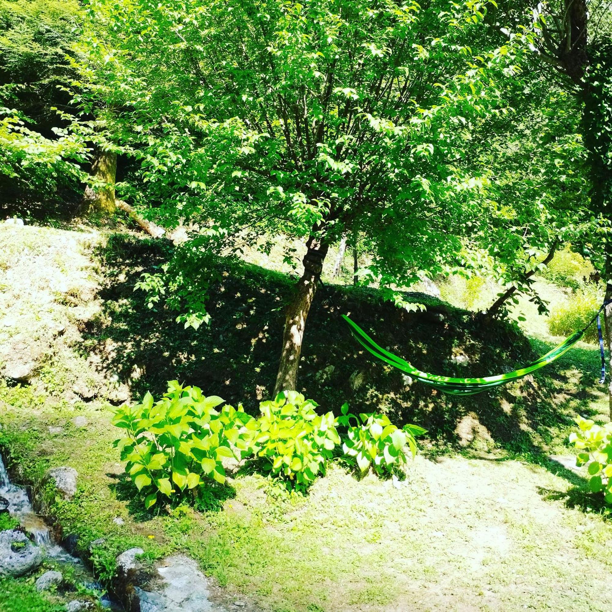 Casa Vacanze Il Boscaccio "Casa Massimo" Fornovolasco 외부 사진