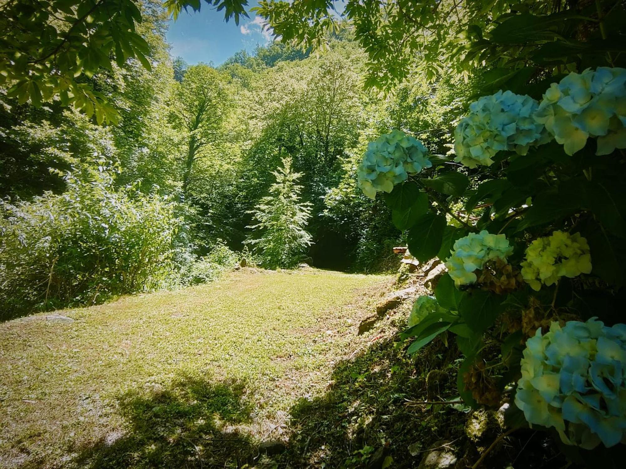 Casa Vacanze Il Boscaccio "Casa Massimo" Fornovolasco 외부 사진